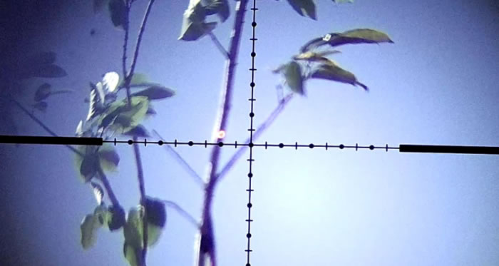 ϸѹľ